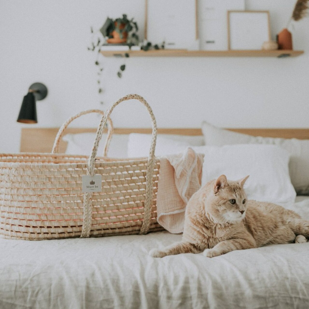 MUST BE BABY Moses Basket