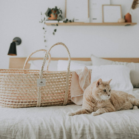 MUST BE BABY Moses Basket