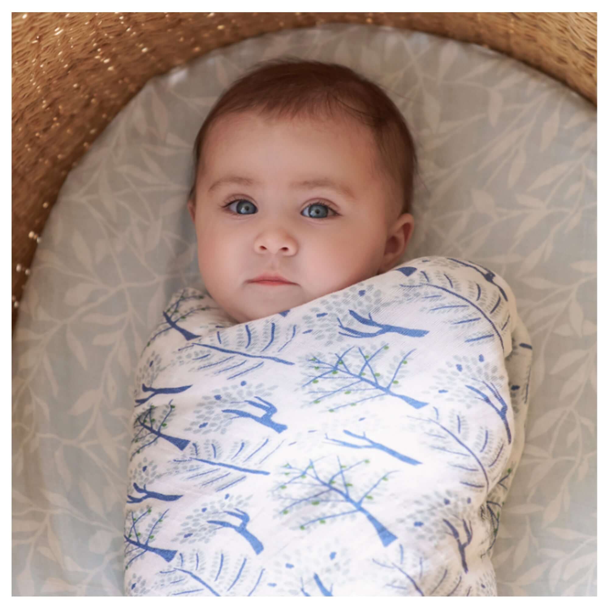 ADEN + ANAIS Organic Cotton Muslin Swaddle (4 Pk) - Outdoors
