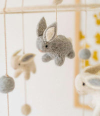 Miniature pour BunnyHop1