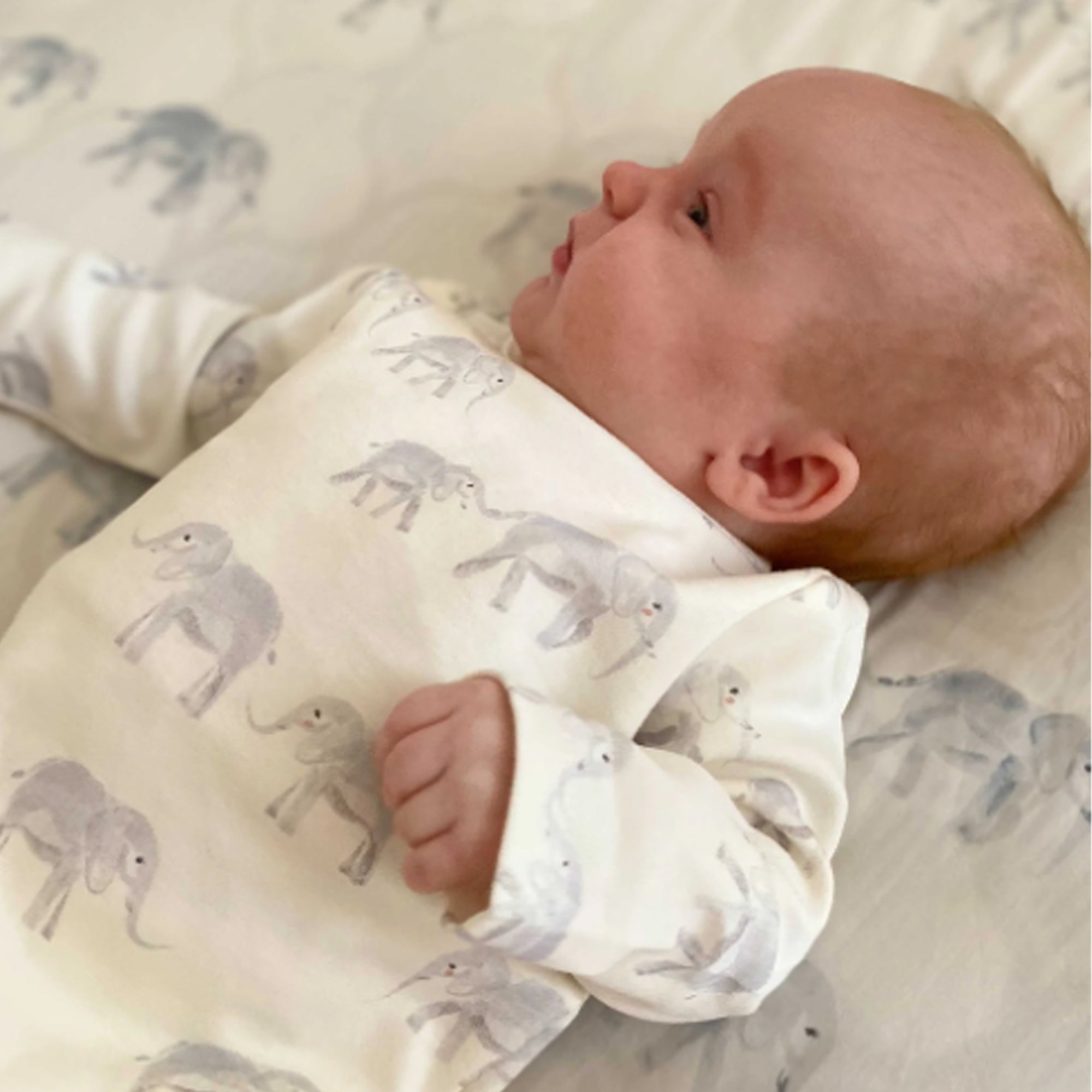 PEHR Organic Cotton Shoulder Snap One-Piece - Follow Me Elephant