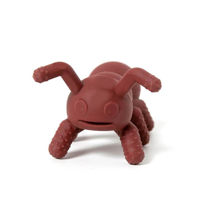 DODDLE &amp; CO - Anneau de dentition à mâcher Anti-cipation