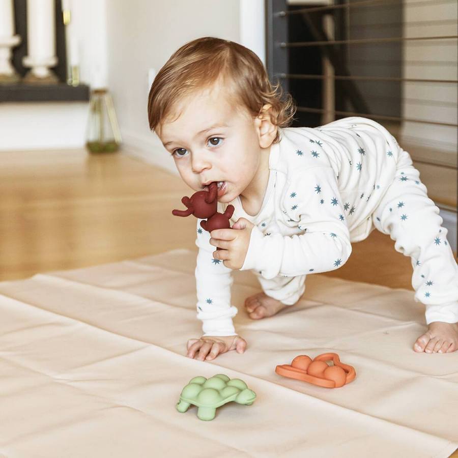 DODDLE &amp; CO - Anneau de dentition à mâcher Anti-cipation