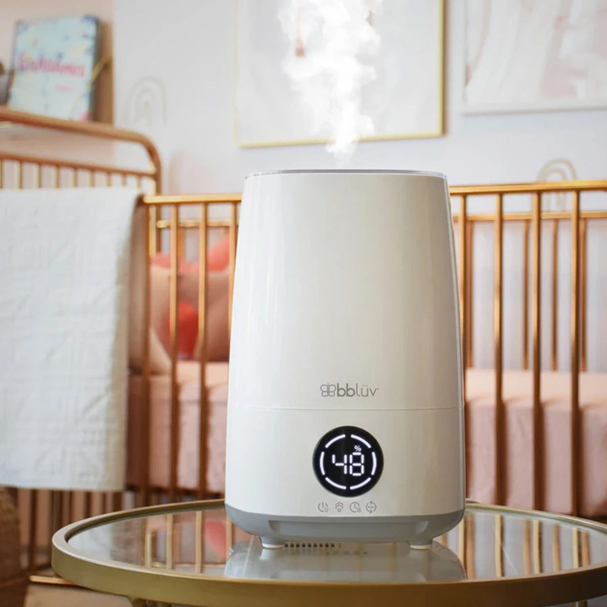 Humidifier + Air Purifier