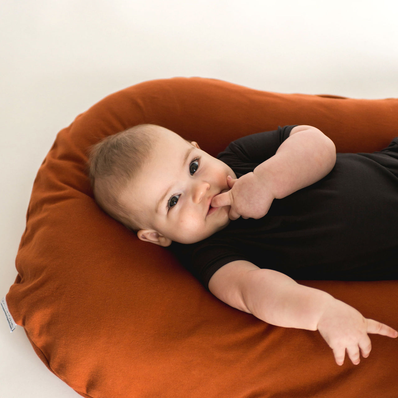 Snuggle Me - Baby Lounger Cover Organic