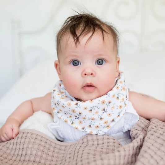 2PK-Bandana-Bibs-Floral-Dragonfly